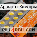 Ароматы Камагры new05